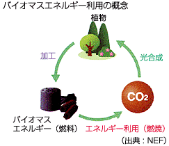 バイオマスエネルギー利用の概念